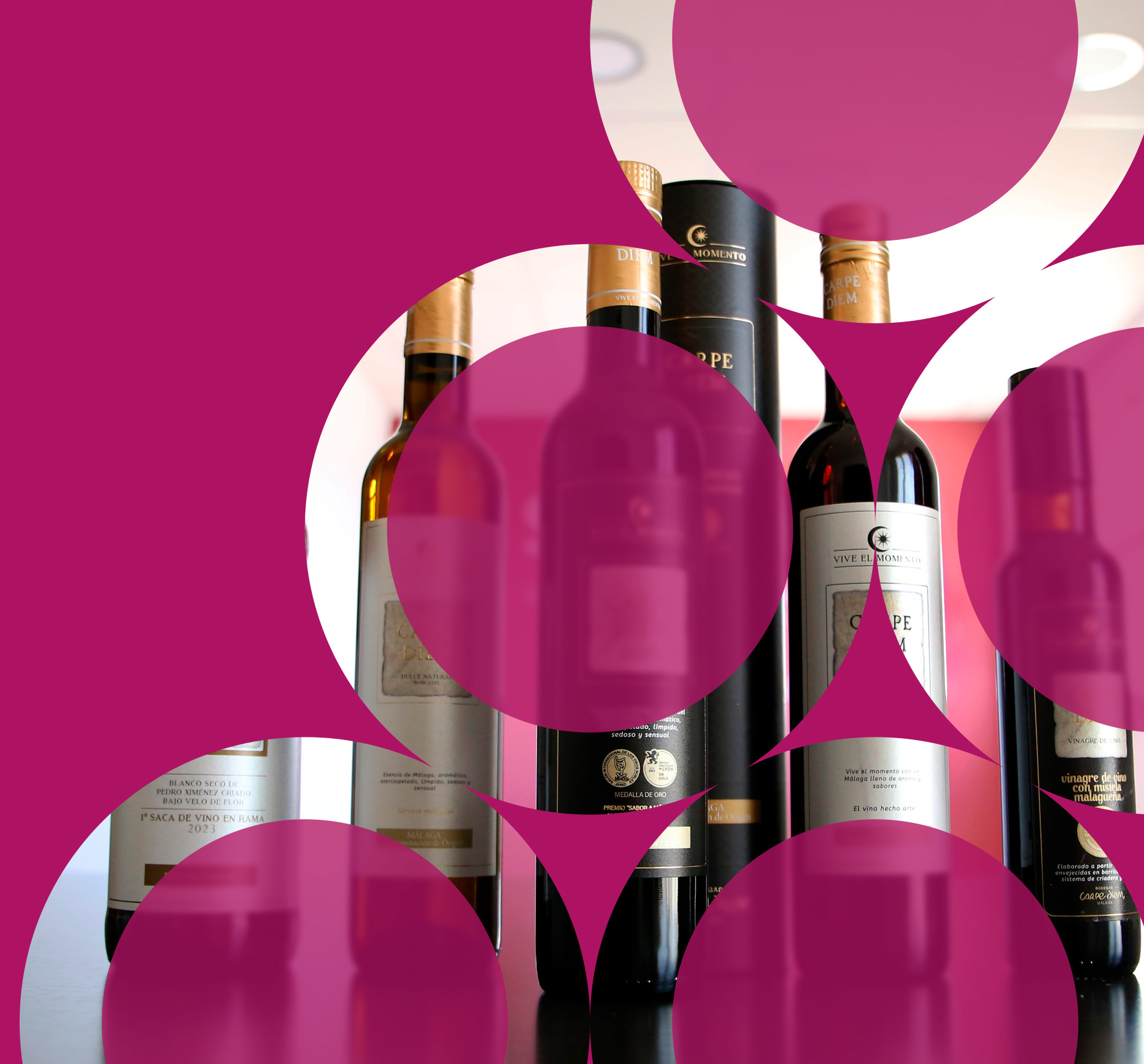 CIVA Centro de Interpretación del Vino y el Aceite