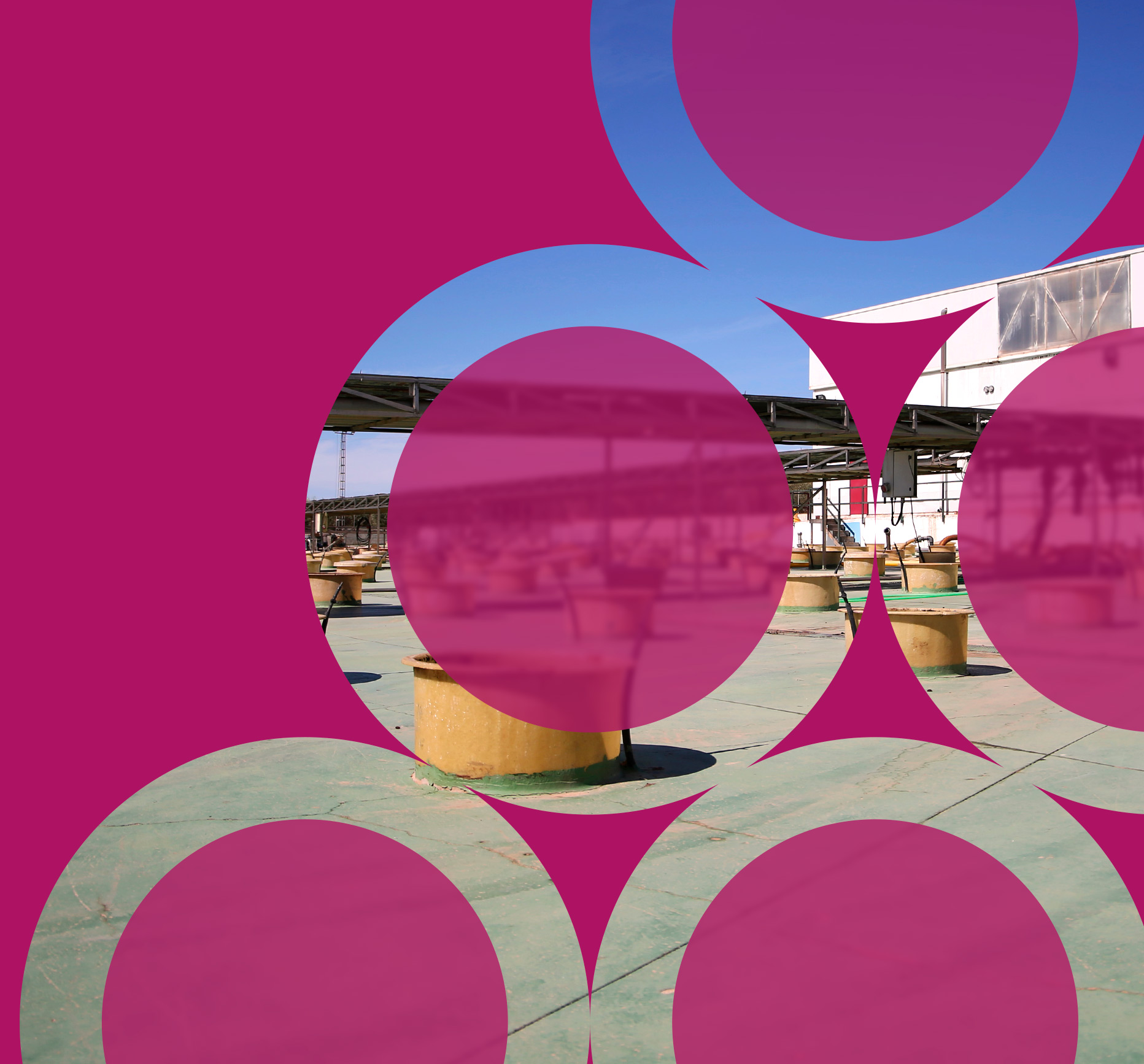 CIVA Centro de Interpretación del Vino y el Aceite