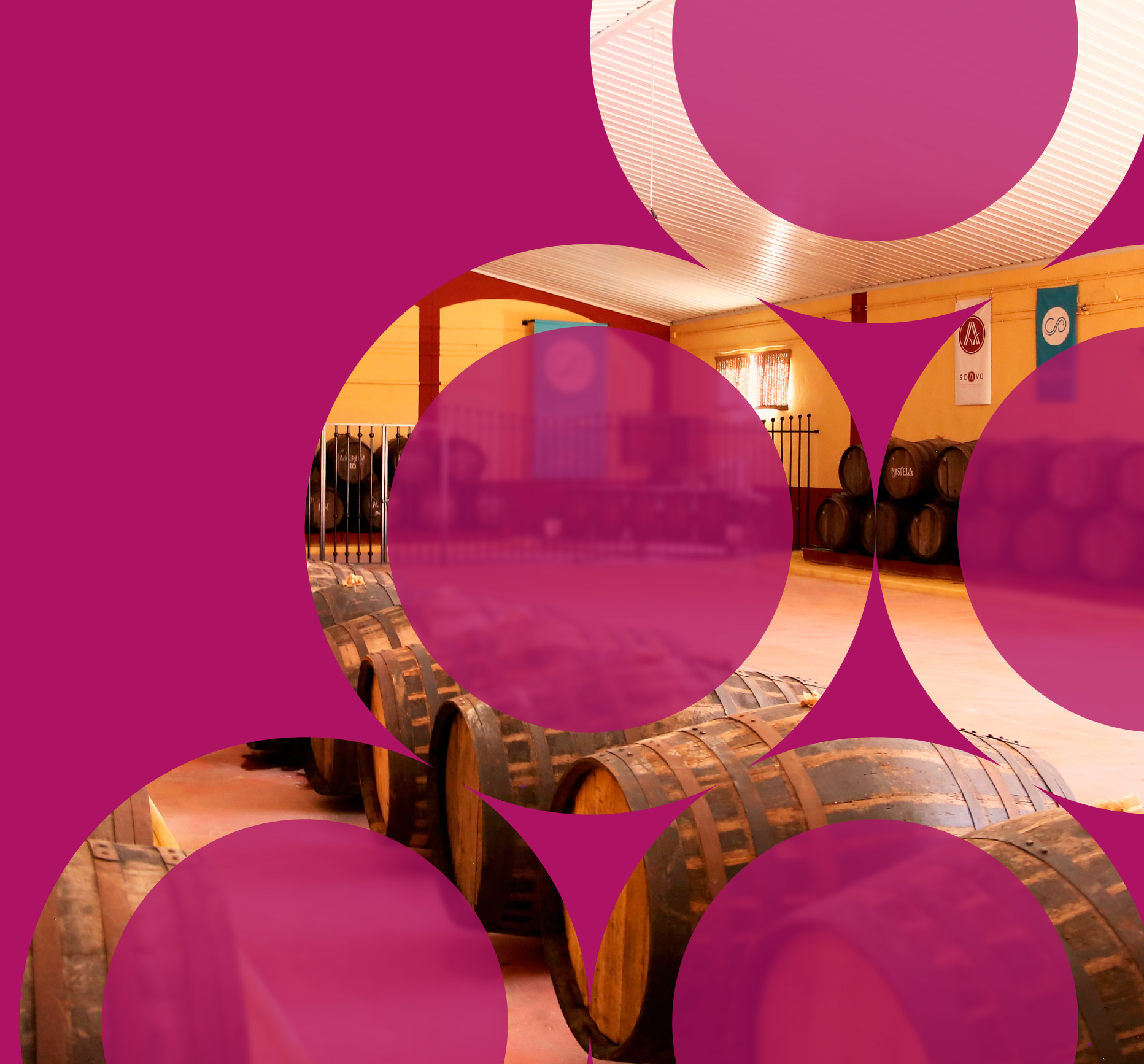 CIVA Centro de Interpretación del Vino y el Aceite