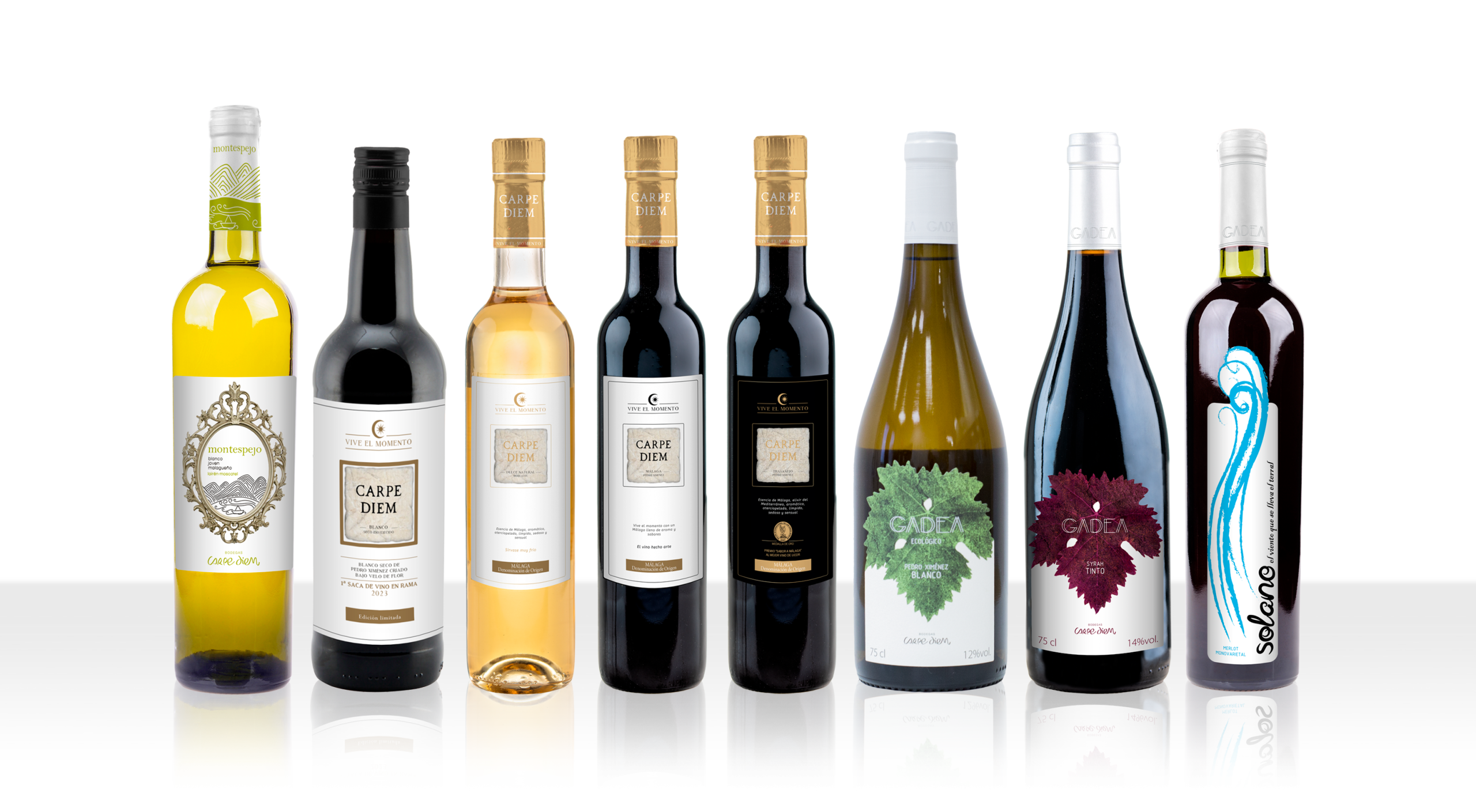 Conoce nuestra Bodega