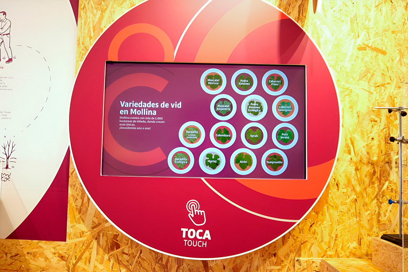 CIVA Centro de Interpretación del Vino y el Aceite