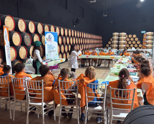 Taller educativo para escolares entre barricas de vino en la Bodega Carpe Diem