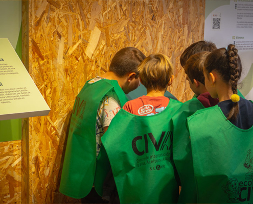 Alumnos con petos del CIVA descubren la exposición sobre variedades de aceituna y el olivo